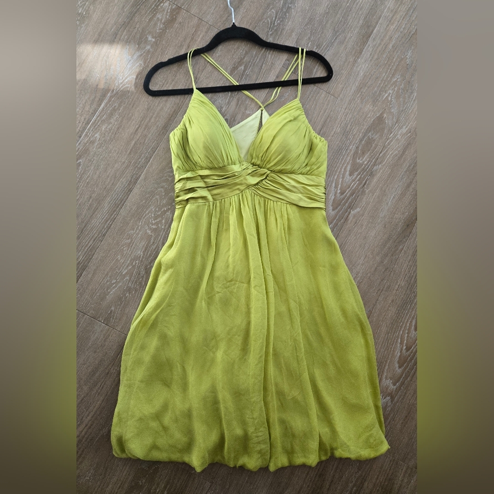 100% Silk Knee Length Cocktail Dress with Fitted Bodice - Picture 14 of 14